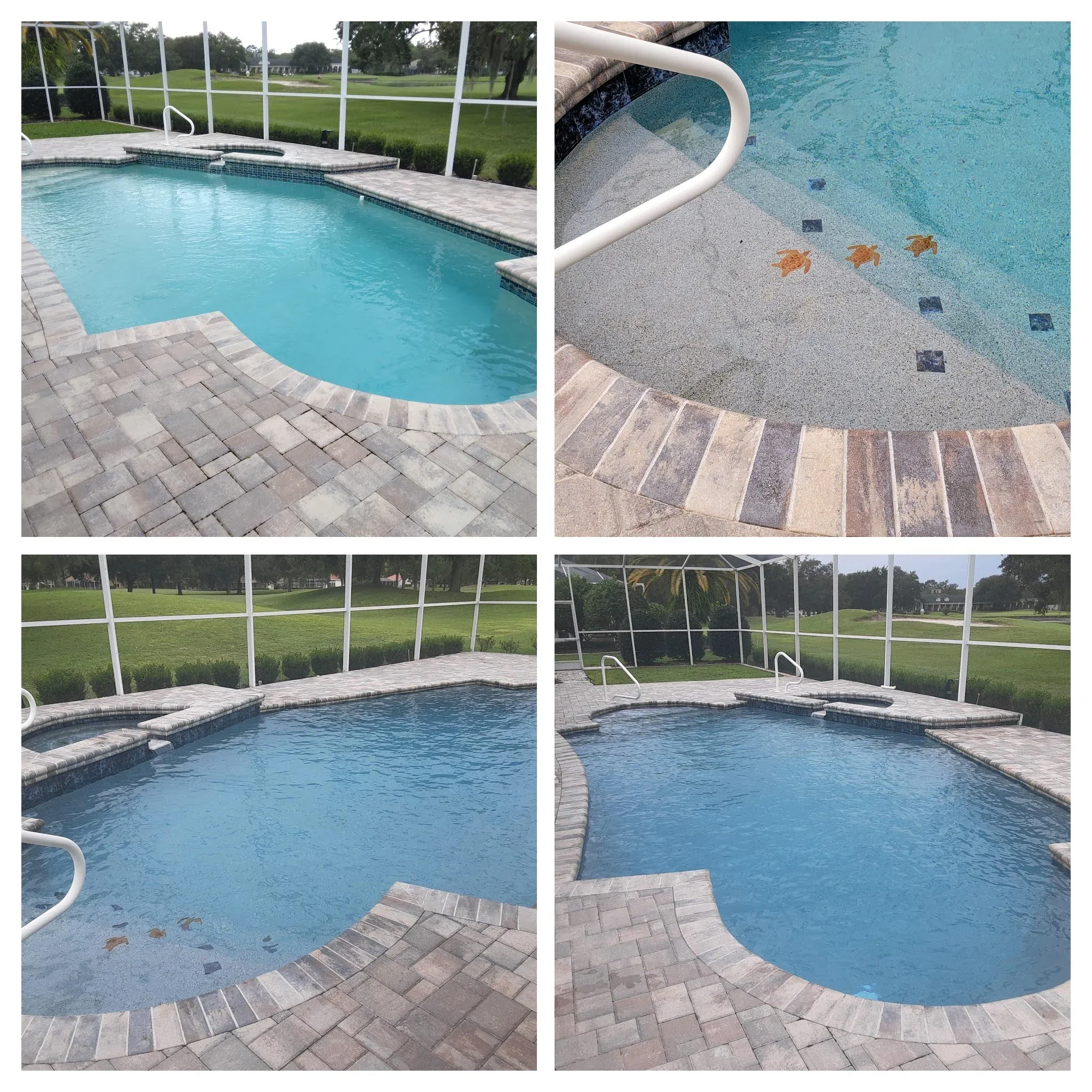 Renovated pool with pebble finish, mosaic floor tiles, multi-colored paver deck, and screened enclosure